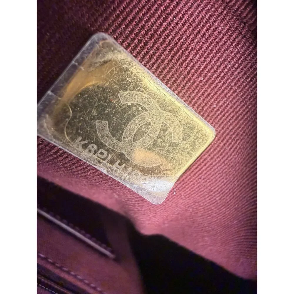 Chanel Small Camera Case in Burgundy